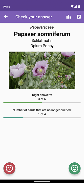 Screenshot answer
